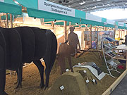 Spargelerzeugerverband Schrobenhausen Halle A1 Stand 125  (Foto: Martin Schmitz)